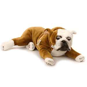 Kosen English Bulldog 6790