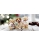 Steiff Matty Jack Russell Terrier  007347 - view 4