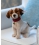 Steiff Matty Jack Russell Terrier  007347 - view 2