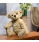 Steiff LUCA Teddy Bear With Growler and FREE Gift Box 022920 - view 3