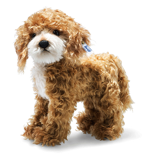 Steiff Ricky Cockapoo with FREE Gift Box 031557