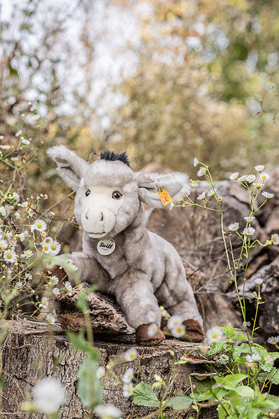 Steiff Issy Donkey 067457 | Ashby Bears Steiff UK Authorised Dealer