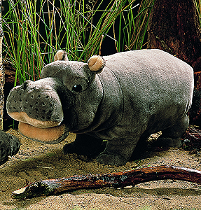 Kosen Hippo 1855