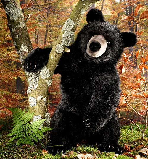 Kosen Black Bear 