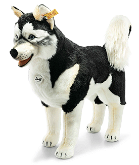 Steiff Studio Husky 502996