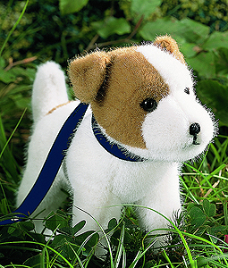 Kosen Jack Russell Terrier 5290