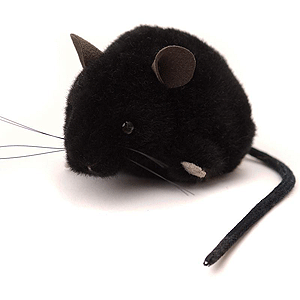 Kosen Black Mouse 
