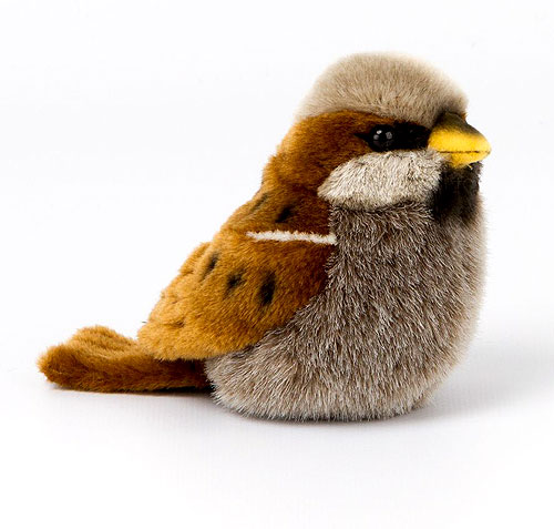 Kosen Sparrow 