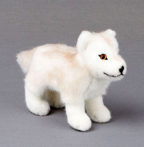 Kosen Polar Wolf Puppy 