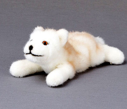 Kosen Polar Wolf Puppy