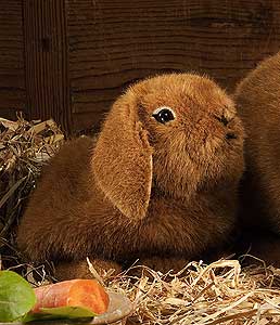Kosen Dwarf Baby Lop 6162