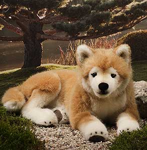 Kosen Shiba-inu 6230