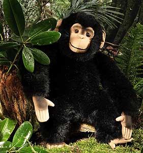 Kosen Chimpanzee 6480