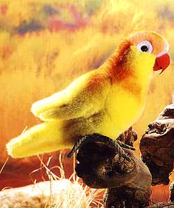 Kosen Yellow Lovebird 6632