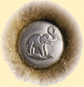 Steiff - the elephant button
