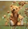 Steiff Linus Teddy Bear 006104 - view 2