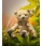 Steiff Hanna Teddy Bear 006135 - view 2