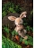 Steiff Rabbit Boy 006517 - view 2
