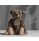 Richard Steiff Teddy Bear with FREE Gift Box 007125 - view 3