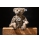 Richard Steiff Teddy Bear with FREE Gift Box 007125 - view 2