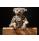 Steiff Richard Steiff Teddy Bear - view 2