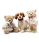 Steiff Ben Teddy Bear 007231 - view 4