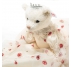 Steiff Empress Elisabeth Teddy Bear 007323 - view 4