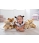 Steiff Edgar 27cm Teddy Bear 022388 - view 2