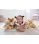 Steiff Paddy 30cm Teddy Bear 014253 - view 3