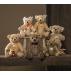 Steiff Frederic Teddy Bear - view 4