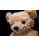 Steiff Paddy 28cm Teddy Bear with FREE Gift Box 027819 - view 3