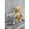 Steiff 140th Anniversary Paddy Teddy Bear - view 3