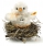 Steiff Chick In Nest with Gift Box 033087 - view 1