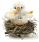 Steiff Chick In Nest with Gift Box - view 1