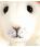 Steiff PILLA white Mouse - view 4