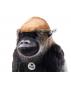 Steiff Boogie Gorilla - view 2