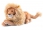 Steiff LEO Lion with FREE Gift Box 064135 - view 1