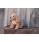 Steiff Berno 36cm Goldendoodle - view 5