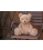 Steiff Cuddly Friends Jimmy Teddy Bear 067181 - view 2