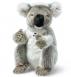Steiff Colo Koala - view 1