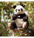 Steiff Pandi Giant Panda - view 3