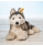 Steiff Bernie Husky With FREE Gift Box 067891 - view 3