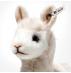 Steiff Cosy Alpaca - view 4