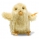 Steiff Piep Chick 073632 - view 1