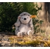 Steiff Hedgy Hedgehog 074387 - view 2