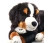 Steiff Senni Bernese Mountain Dog 079528 - view 2