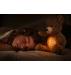 Steiff Caspar Night Light Teddy Bear - view 3