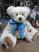 Teddy Hermann 2018 Year Bear 120384B-18 - view 1
