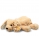Steiff Cuddly Friends Floppy  Lumpi Dog 242595 - view 1