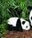 Kosen 17cm Baby Panda 3200 - view 1